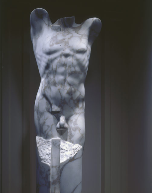 Mannelijk torso